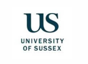 萨塞克斯大学 MSc Strategic Marketing