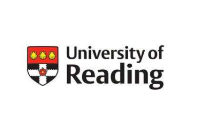 雷丁大学，MSc Marketing (International Marketing)