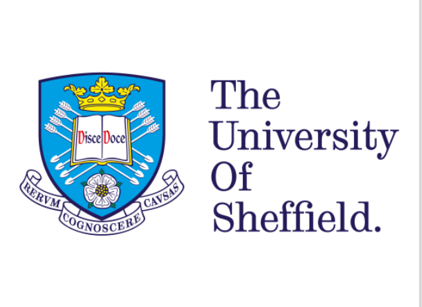 谢菲尔德大学，MSc International Management & Marketing