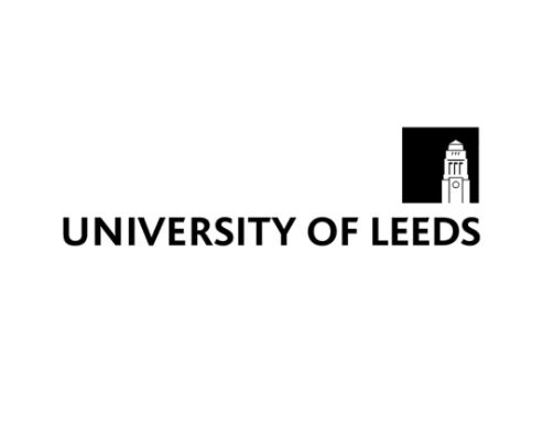 利兹大学，MA advertising and marketing