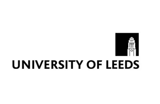 利兹大学MSc Advertising and Marketing